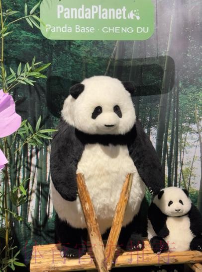 《熊猫说球》第二十一集:假摔 《熊猫说球》第二十一集:假摔